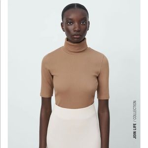 Zara Ribbed Turtleneck Sweater